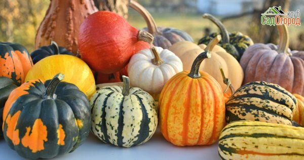 изображение: depositphotos.com