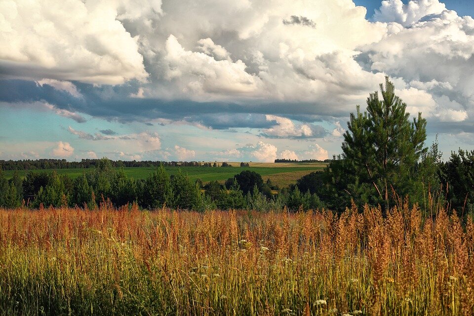 Фото: pixabay.com