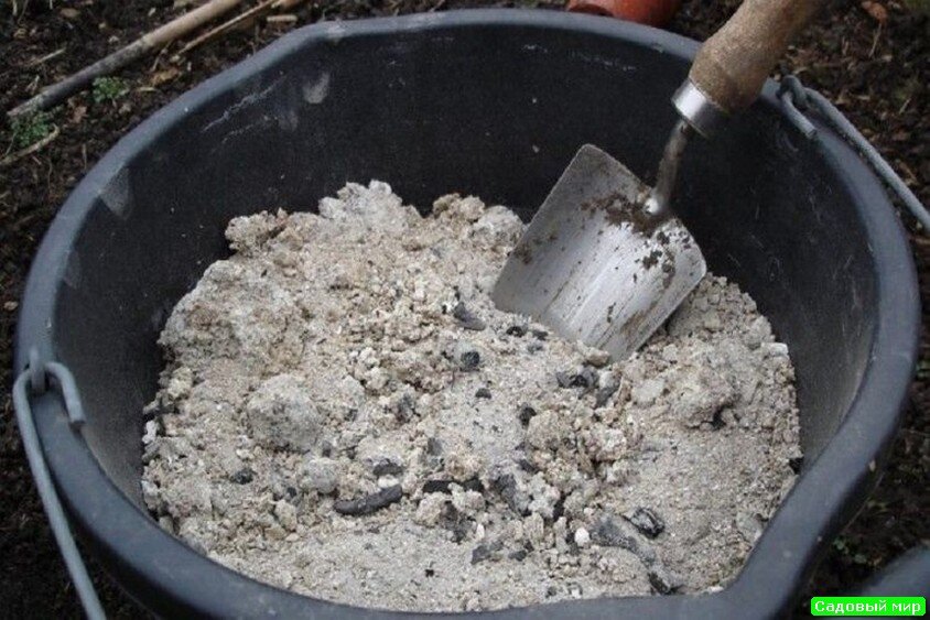 фото с сайта budvtemi.com 