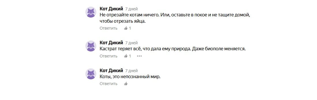 Комментарий, из-за которого и возник тот вопрос, что в заголовке.