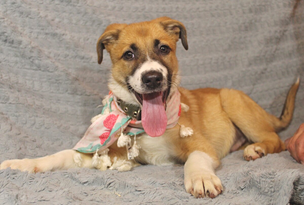 Малыш Рудик из приюта Полянка в поисках дома