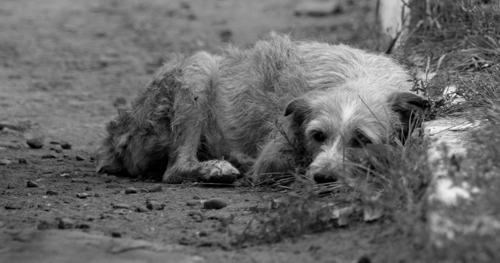 Надежда для самых слабых