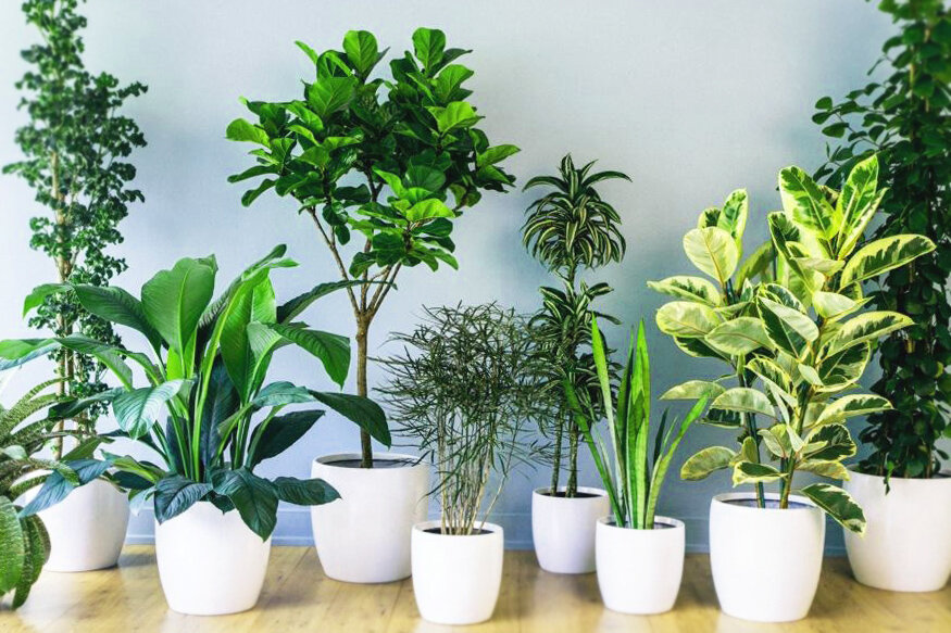  Фото с сайта рxhere.com