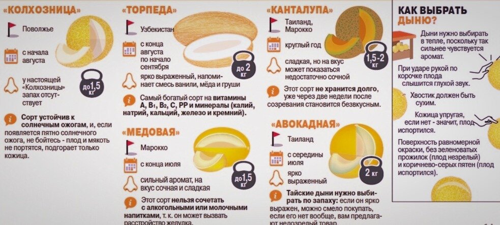выбираем дыню