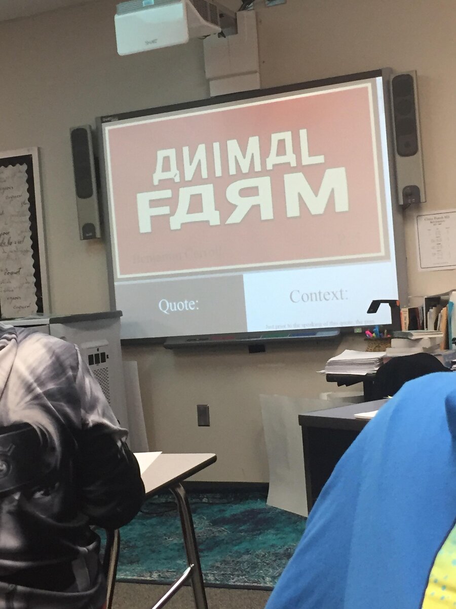 Animal Farm - Скотный двор