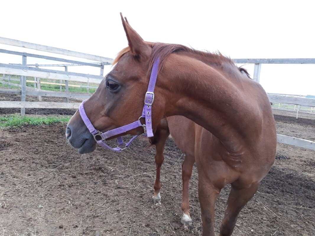 Фото из личного архива автора.