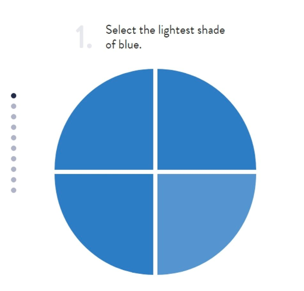 Пример задания. Необходимо выбрать наименее насыщенный оттенок. Фото: Lenstore / Daily Mail