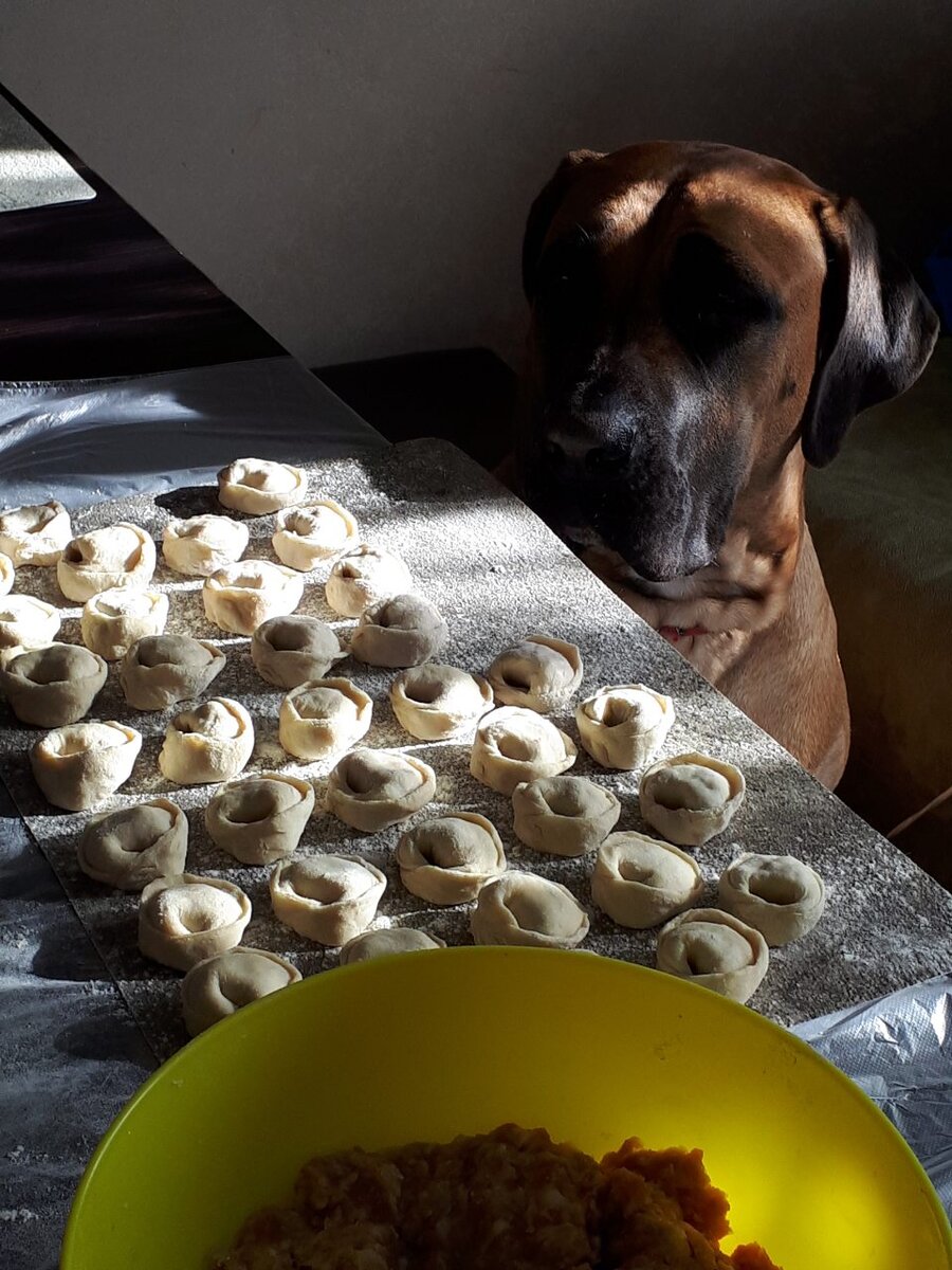 Стоит отвернуться и у кого-то морда в муке. 