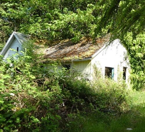 Сентрейлия – город призрак, он же «Сайлент Хилл» из известного фильма ...