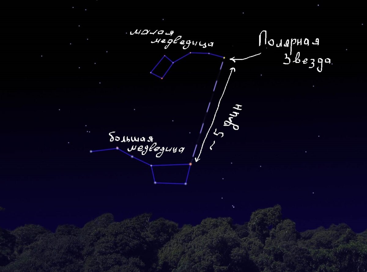 Малая медведица самая яркая звезда. Околополярные созвездия. Поиск полярной звезды. Как найти полярную звезду.