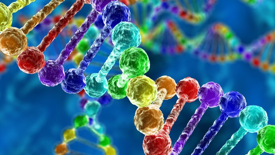 Фото из открытого источника.