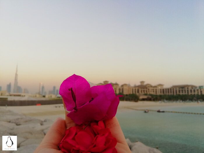 Фото из личного архива. Вид на город и отель Four Seasons.