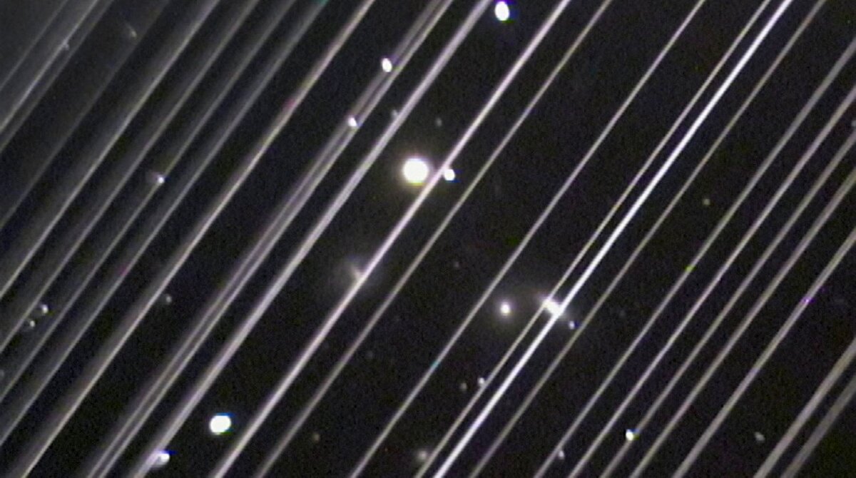 Спутники Starlink при наблюдении через телескоп. VICTORIA GIRGIS/LOWELL OBSERVATORY