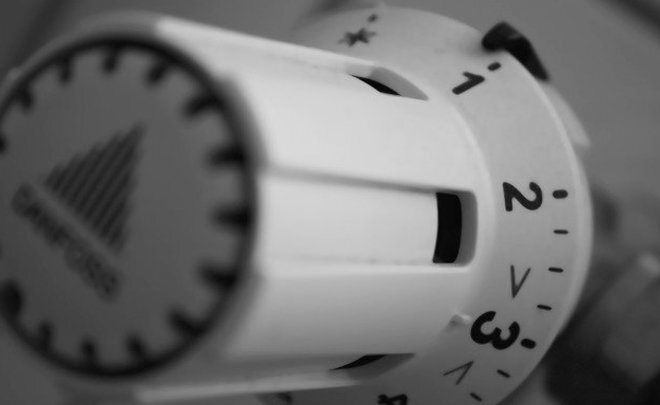  
Фото: pixabay.com