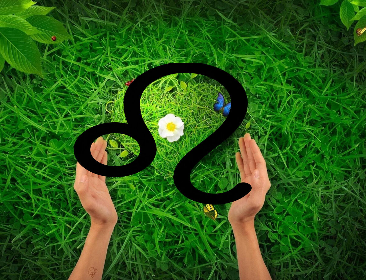 Знак зодиака Лев.