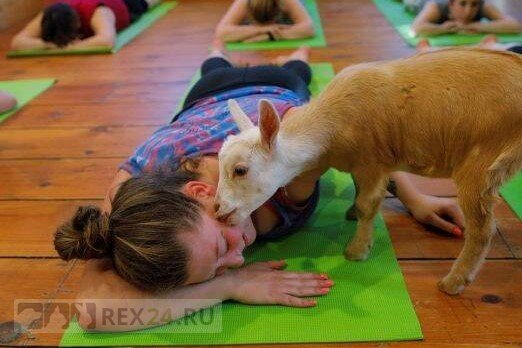 Фото: соцсети