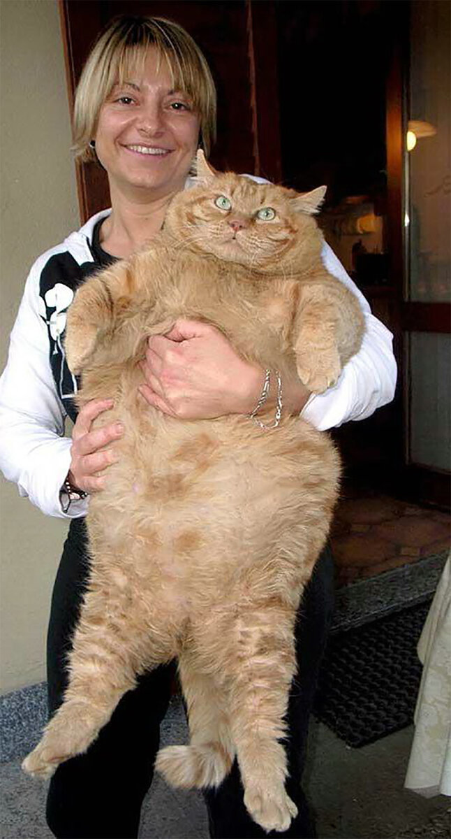 Тулле со своей хозяйкой