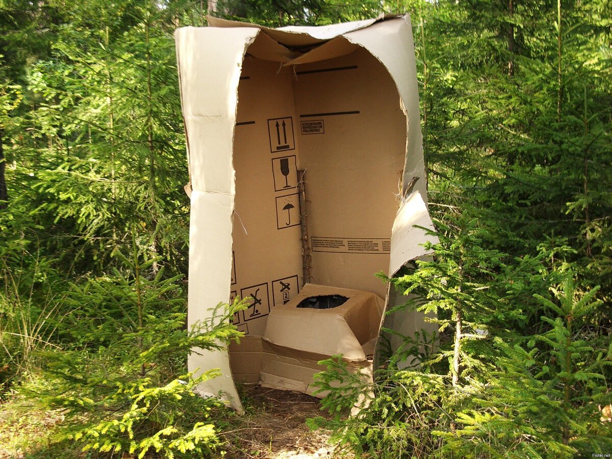 А туалет и такой можно поставить! Вообще даром!