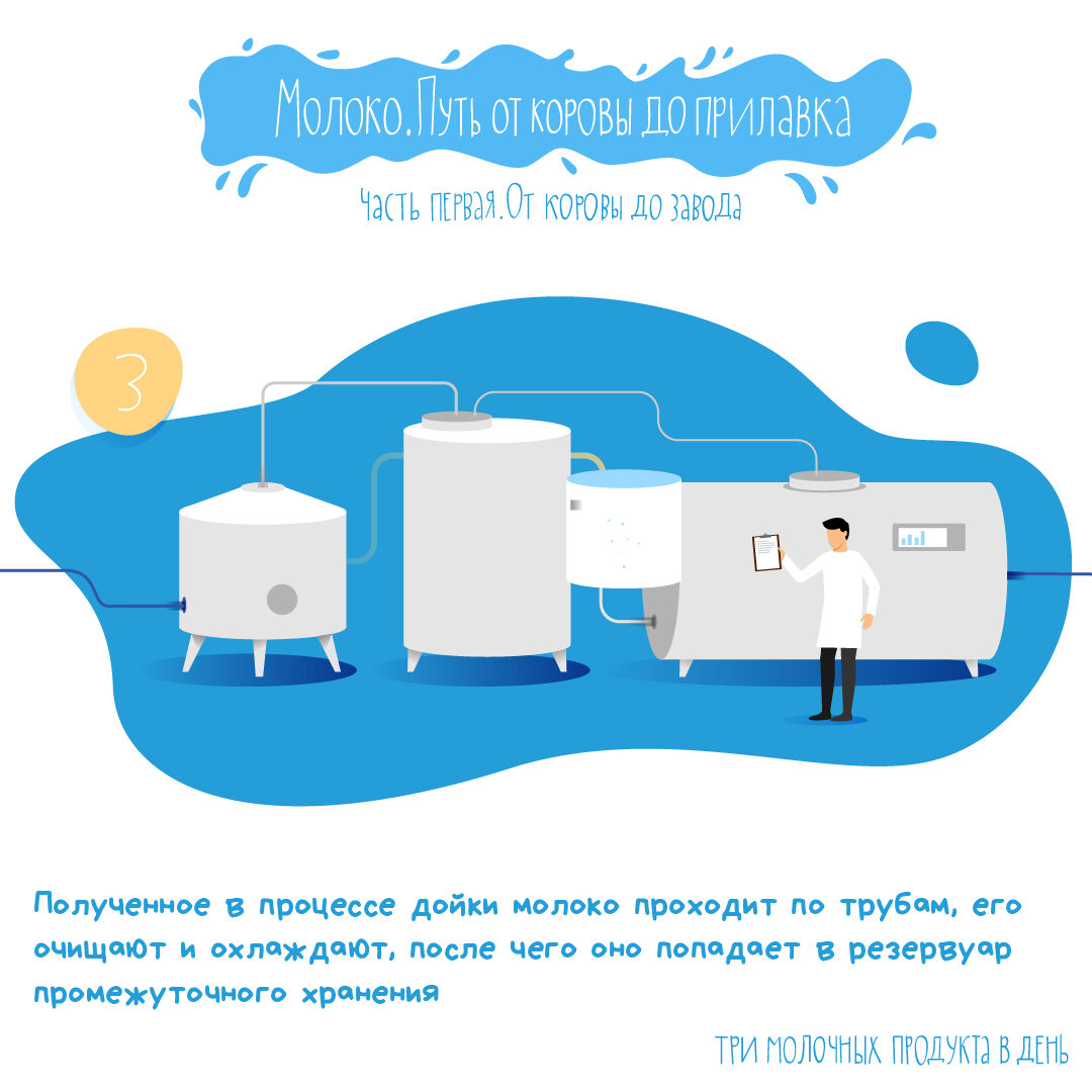 Путь молока. Откуда на самом деле берется молоко?. Проходящее молоко. От кого берëтся молоко. Откуда берется молоко для фирмы калория.