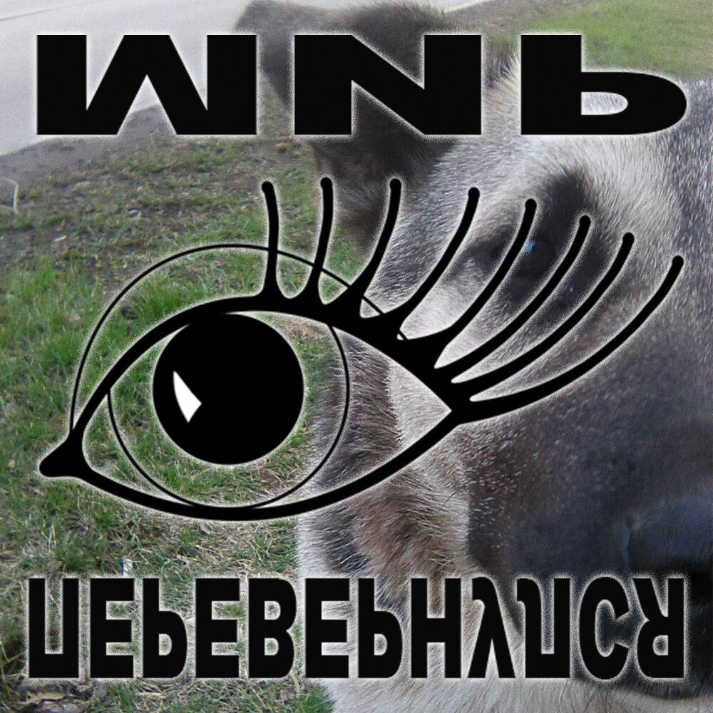 Я бездомная не по своей вине, Человек | © ДиНа