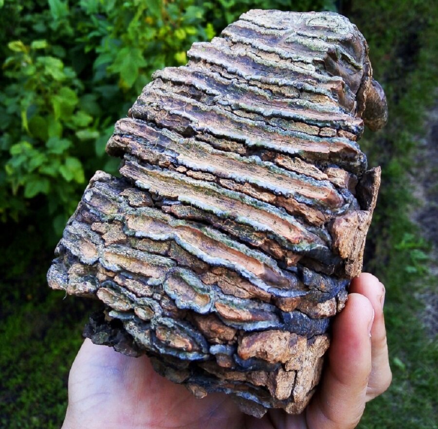 Фото: Айнура Ситдикова