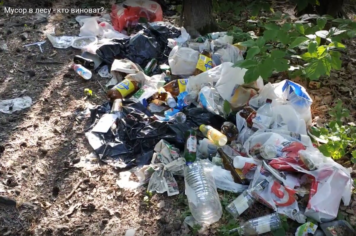 Кто же мусорит в лесу - свалка в городской черте