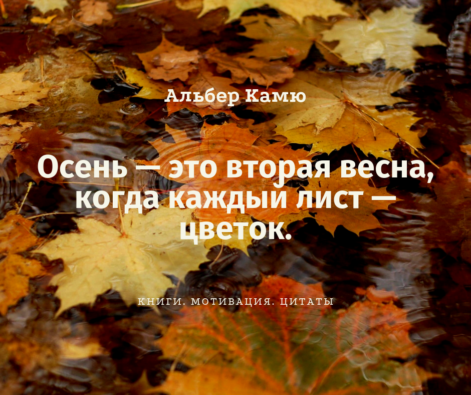 Осенние цитаты. Мотивирующие осенние фразы. Мотивирующие фразы осень. Мотивирующие цитаты осень. Осенние Мотивирующие цитаты.