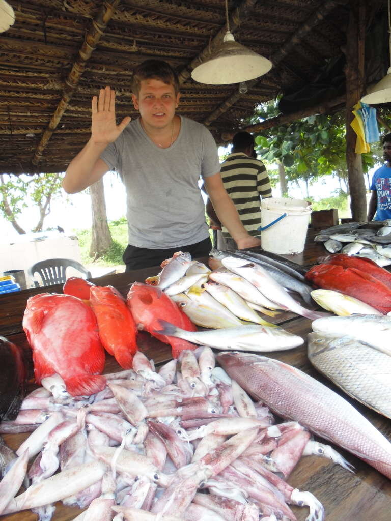 Фото взято из Яндекс.Картинки