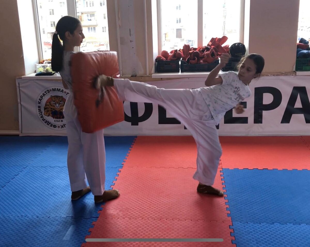 Karate WKF удары