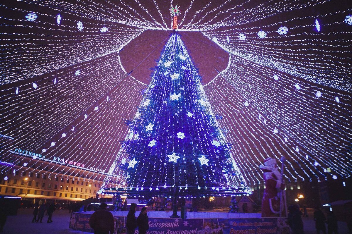 Новый проект елки