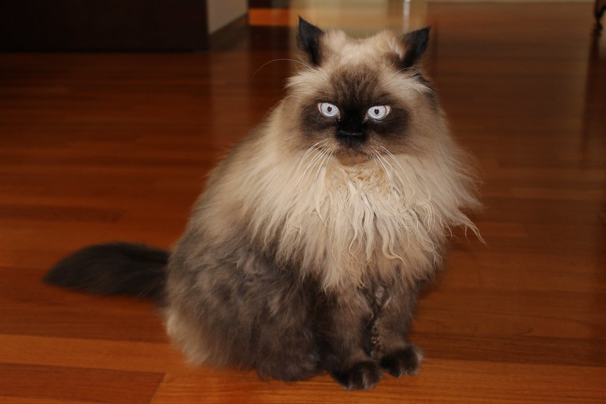 фото из интернета