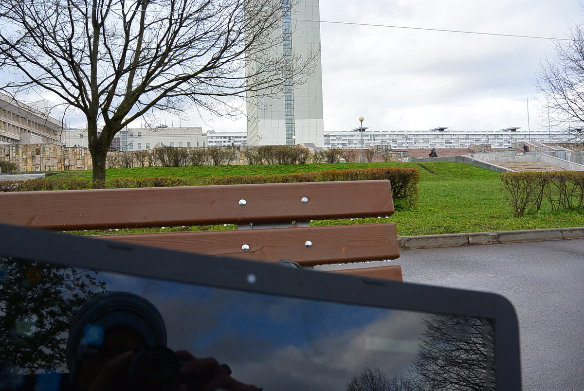 Снова. моё фото из дворового парка, просто в Дзене должна быть фотка