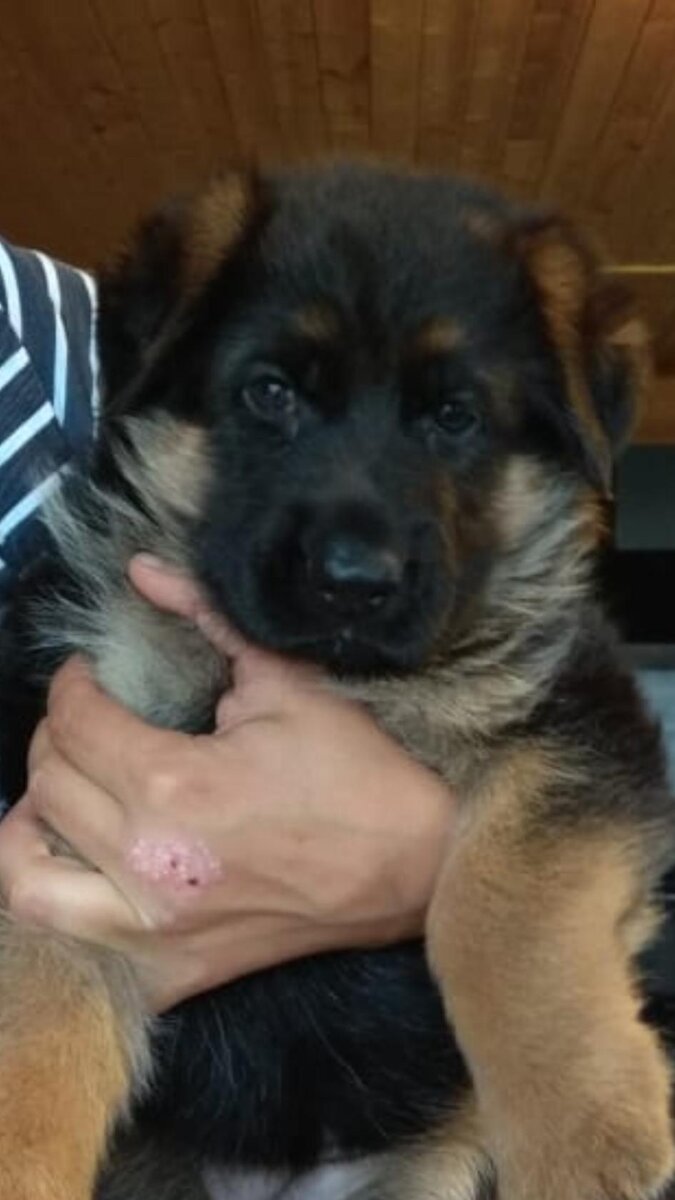 фото из личного архива Ольги Аикиной (Марич)