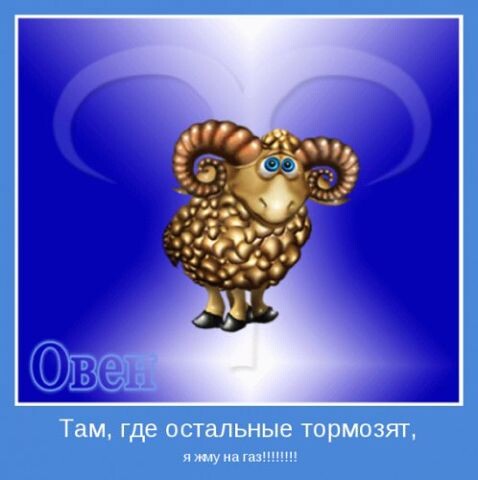 Не ну реально)