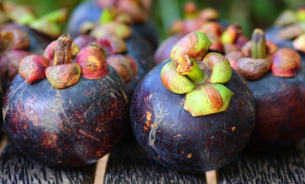 Мангостаны или мангустины? Разберёмся и попробуем на вкус тропический ...