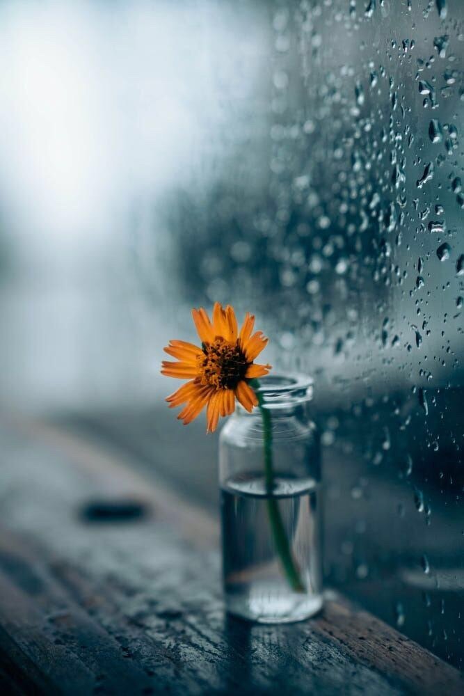 Фото из telegram