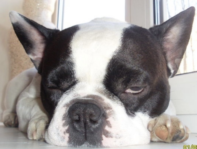 Фото из личного архива