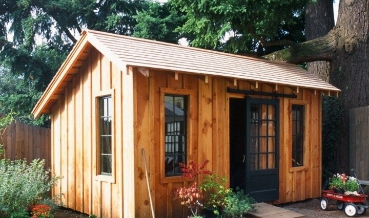 Фото из свободных источников