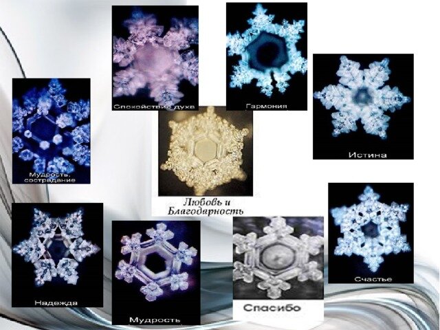 Из открытых источников.