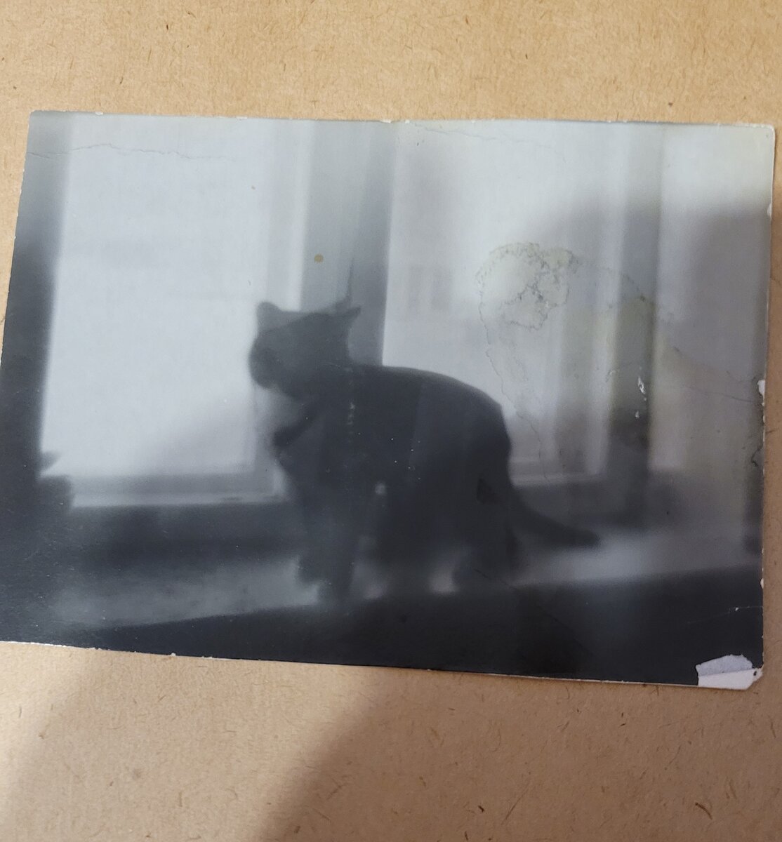 Сохранилась одна единственная фотография Кеши. Раньше владеть фотографией и фотоаппаратом целая наука была. 