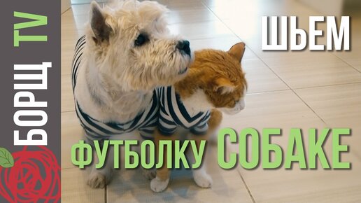 Как сшить лежанку для собаки своими руками - пошаговая инструкция