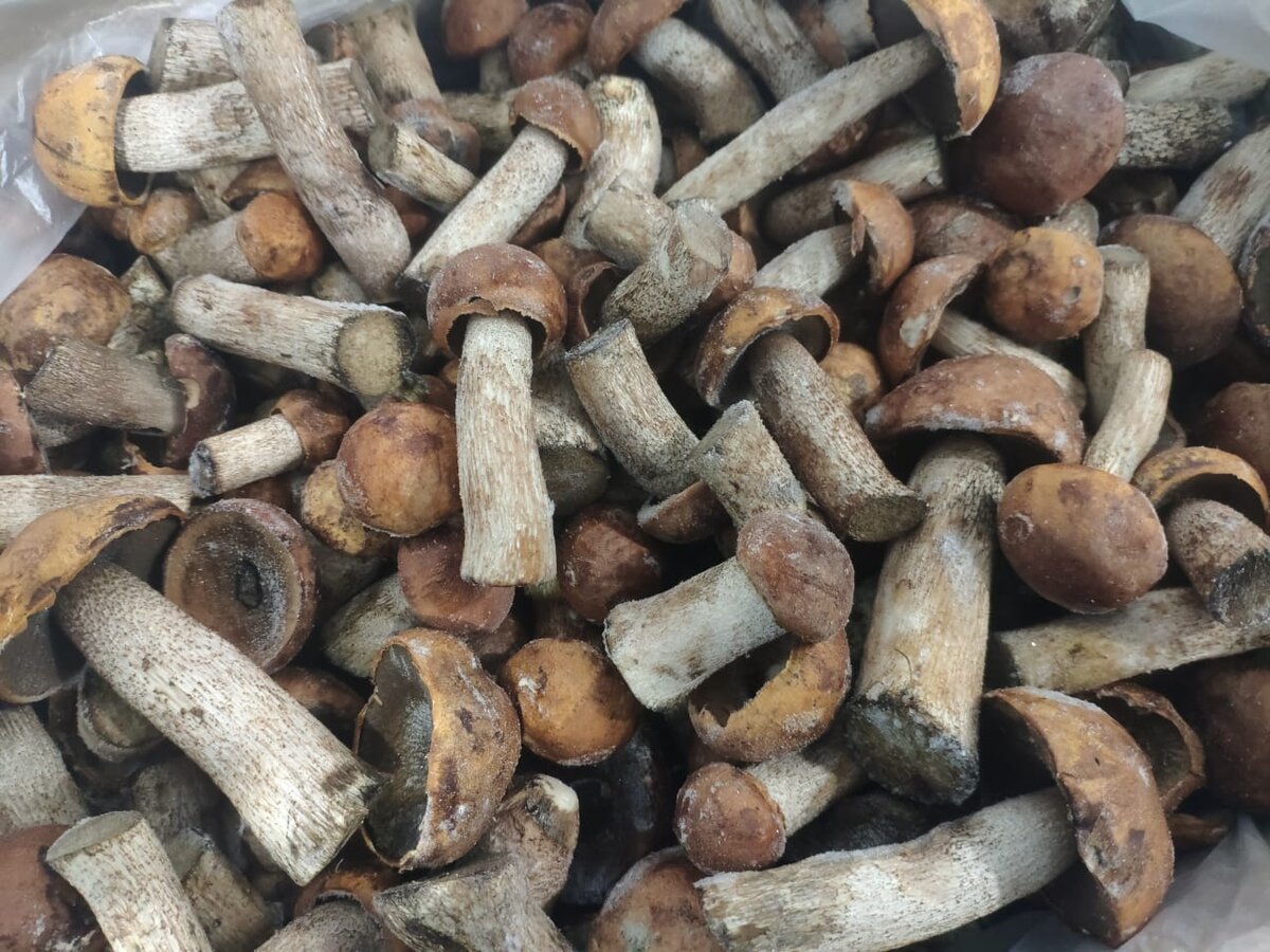 Заморозка грибов красноголовиков