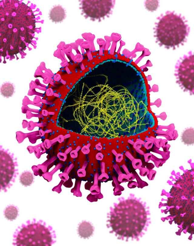 Вирус Covid-19 (Фото с Яндекс)