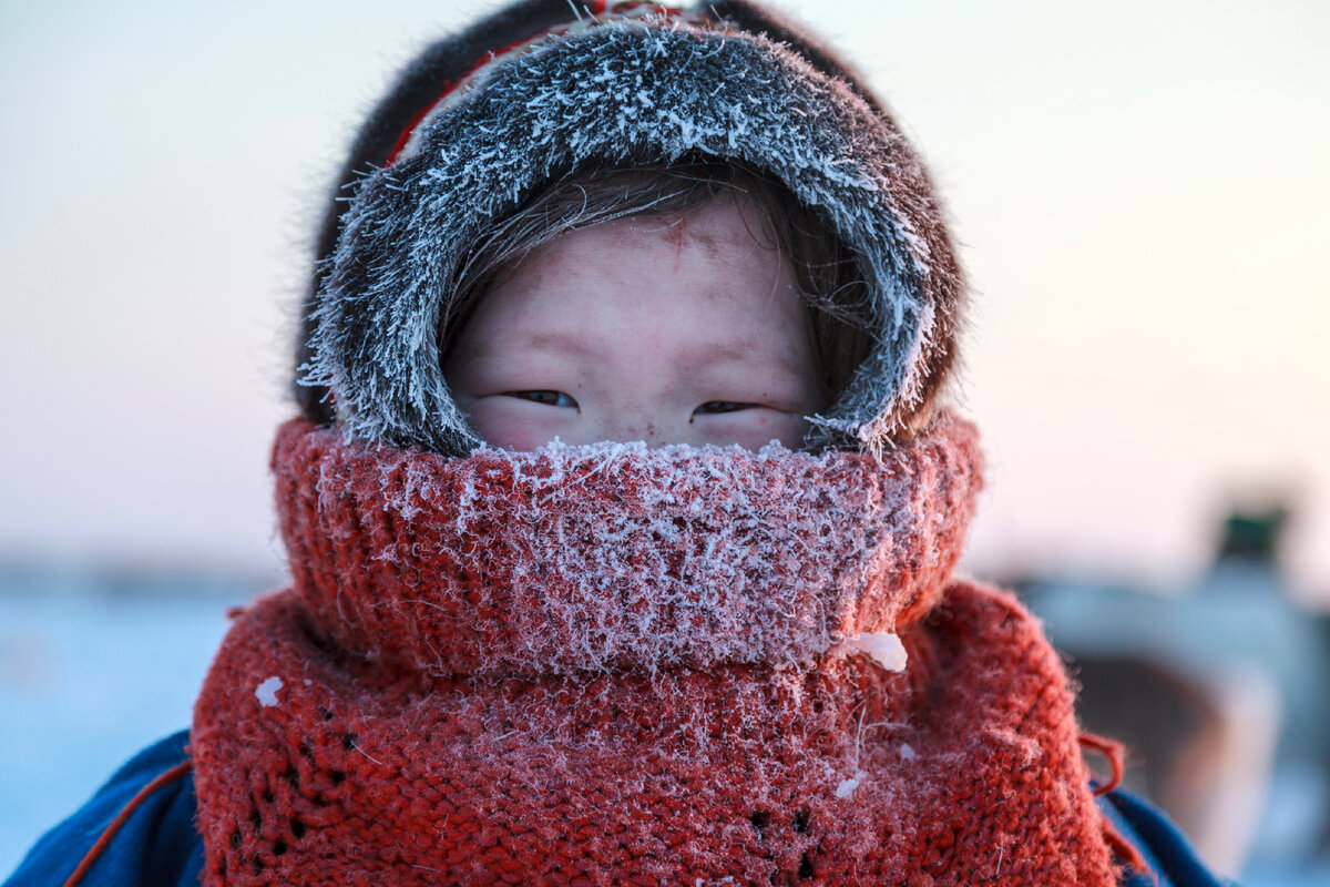 Фото: evgenii mitroshin/Shutterstock/Fotodom