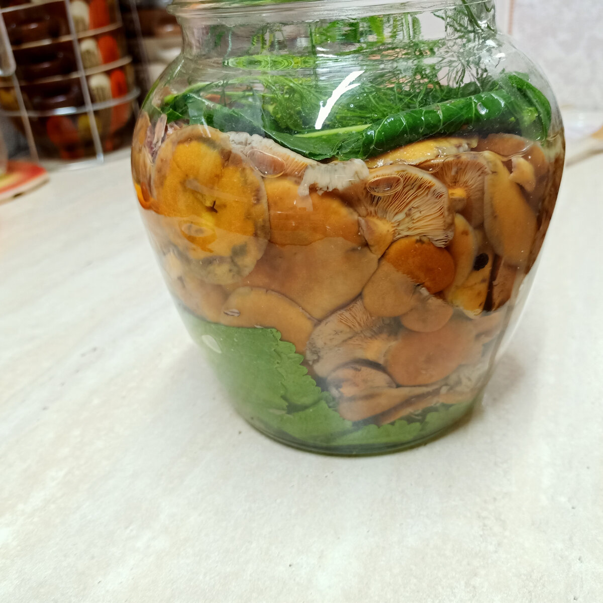 соленые рыжики