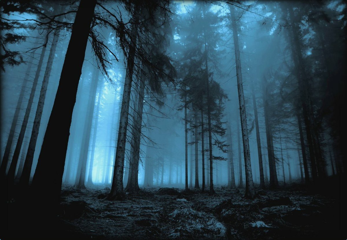 Фото из открытых источников.