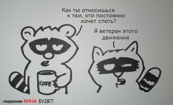 Енот и кофе фото Комиксы про недосып Носик Пёсика Дзен