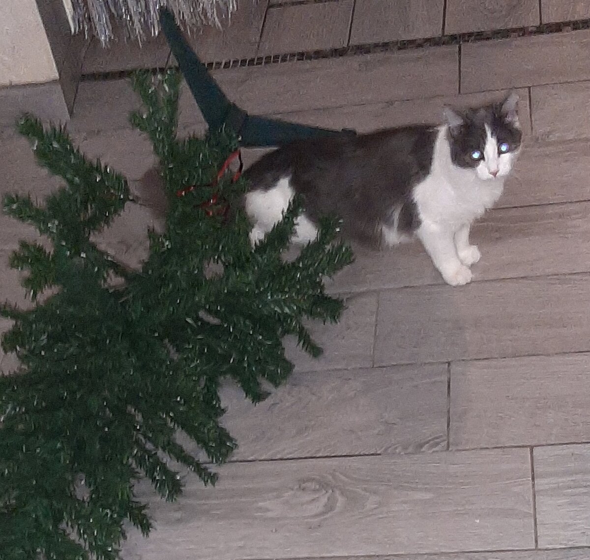 не стоять тут этой штуке!