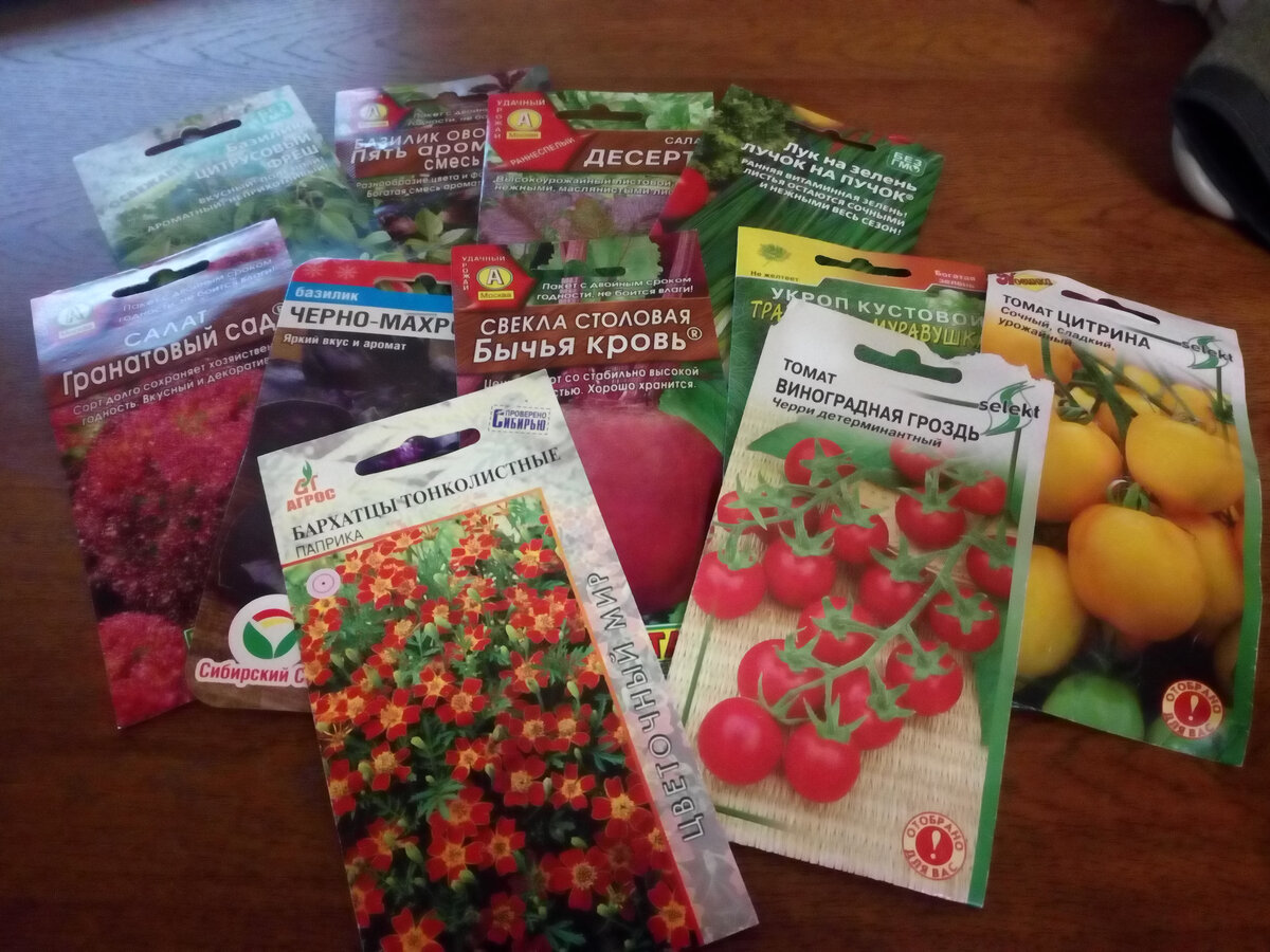 Вчера специально купила семена растений для красивой огородной клумбы. Два этих высоких томата на фото подойдут в центр клумбы на опору. Томат Лампочка из Семян Алтая не нашла.