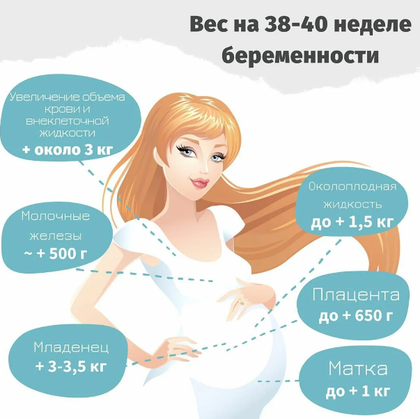 Яндекс картинки  